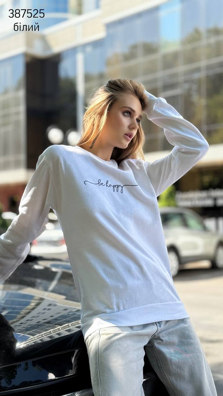 Свитшот (опт) 387525